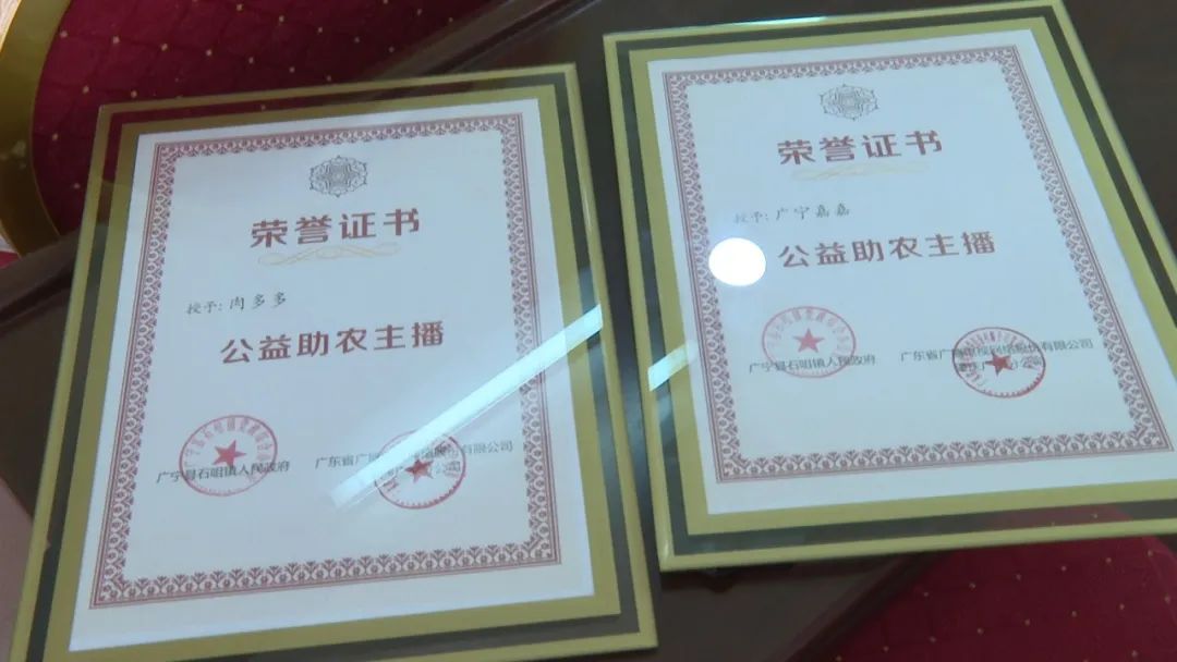 廣東廣電網(wǎng)絡(luò)：智慧廣電網(wǎng)絡(luò)平臺，開啟廣寧農(nóng)產(chǎn)品銷售新格局