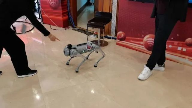 聚焦二十大，各廣電推出了哪些融媒體作品？